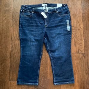 Lane Bryant Pedal Jean